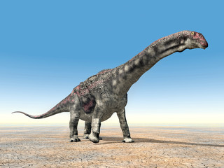 Fototapeta premium Diamantinasaurus