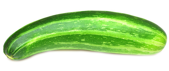 vegetable marrow