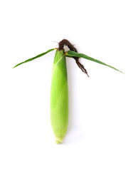 Corn ear