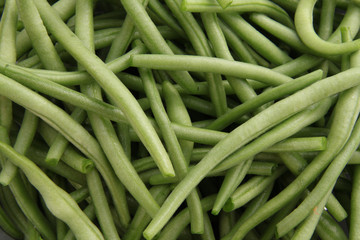 Haricots verts