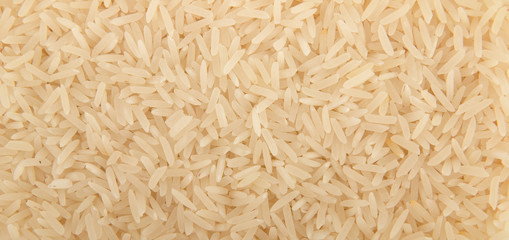 close up view of rice grain
