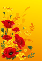 Poppies and daisies