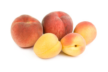 Peaches and apricots.