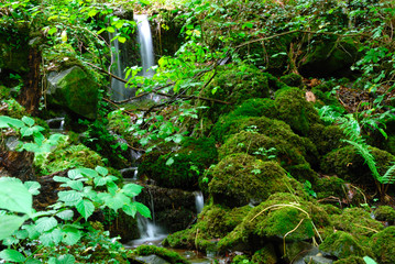 Obraz premium Mountain stream flowing