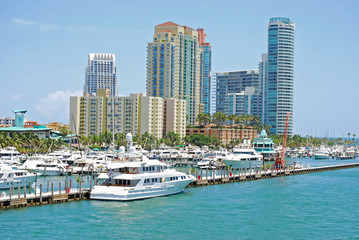 Condo Towers Overlooking the Miami Beach Marina