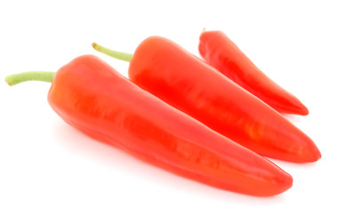 Red hot pepper