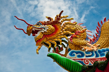 Fototapeta premium The Dragon status
