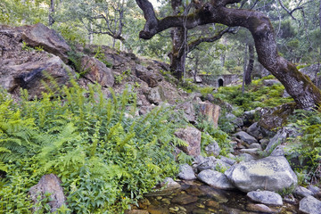 Garganta de la Graja