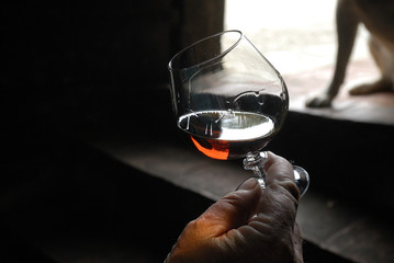 right hand holding a glass of brandy with a dark background