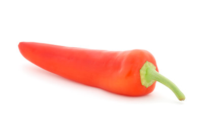 Red hot pepper