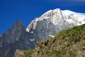 Monte Bianco e Aiguille Noire dal rifugio Bertone