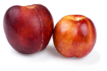 peach and apricot macro
