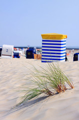 Strandk&ouml;rbe in den D&uuml;nen