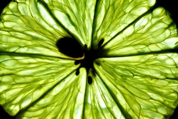 Selbstklebende Fototapeten Makroaufnahme einer reifen Limone © koniev