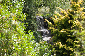 waterfall falling among trees