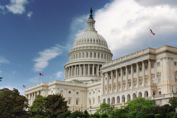 The US Capitol - obrazy, fototapety, plakaty