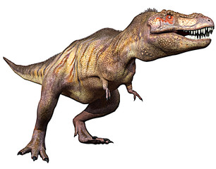 tyrannosaurus side attack