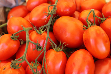 Tomaten