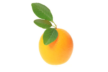 orange