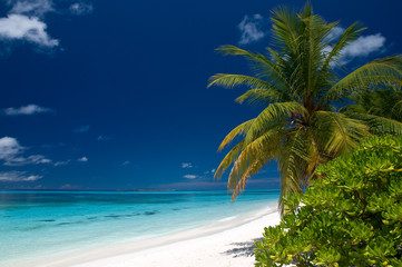 Obraz na płótnie Canvas Samotny tropikalnej plaży