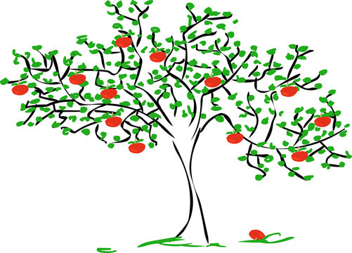 apfelbaum zeichnung