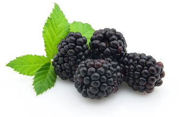 Blackberry with leaves