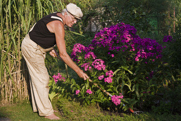 Gartenpflege