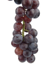 grape