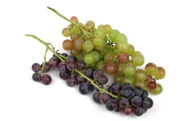 grape