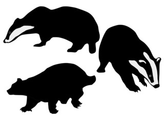 silhouettes of badgers