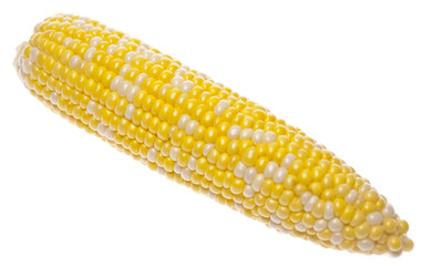 Fresh Yellow Corn