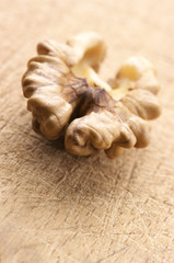 Walnut close-up