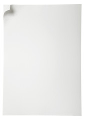 Paper page with curl, copy space for your text.