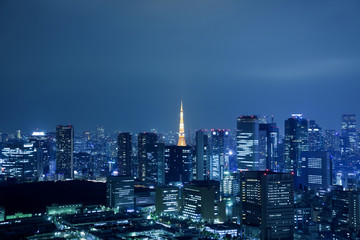 Fototapeta na wymiar Widok na centrum Tokio w nocy z Tokyo Tower