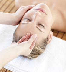 Fototapeta na wymiar Attractive woman having a head massage