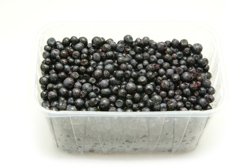 blueberries