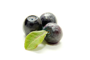 blueberries