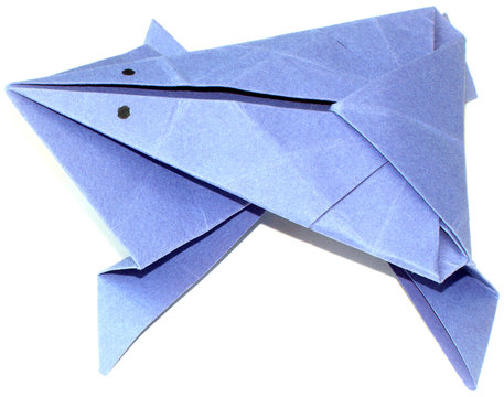 origami grenouille papier canson, fond blanc