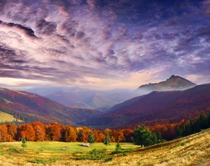 Fotobehang herfst in de bergen © Leonid Tit