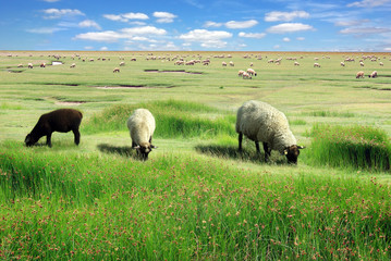 Obraz premium Picturesque rural landscape