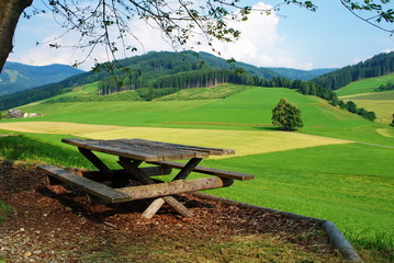 Landscape with bench