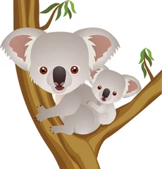 Crédence de cuisine en verre imprimé Zoo Koala