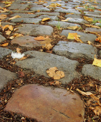 colored cobble stones with autumn leaves and 1 white feather