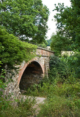 Fototapeta na wymiar Drogę most nad lasem