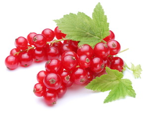 Bunch of red currants on a white background