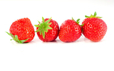 fraises, Mara des bois par quatre sur fond blanc