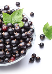 Crockery with black currant.