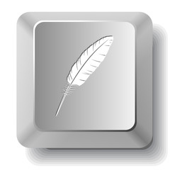 Feather. Vector computer key.