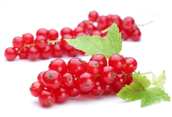 Bunch of red currants on a white background