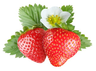 Tempting strawberries with leaves and flower.